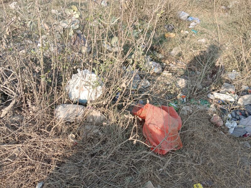 250 square yard plot for sale in tdi city panipat F block face east rs 45000 square yard ph 7404435520
